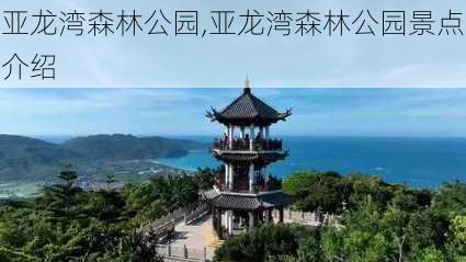 亚龙湾森林公园,亚龙湾森林公园景点介绍-第1张图片-呼呼旅行网