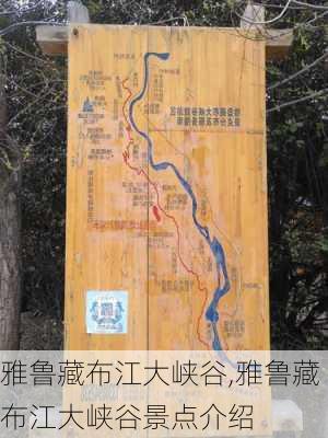 雅鲁藏布江大峡谷,雅鲁藏布江大峡谷景点介绍-第1张图片-呼呼旅行网