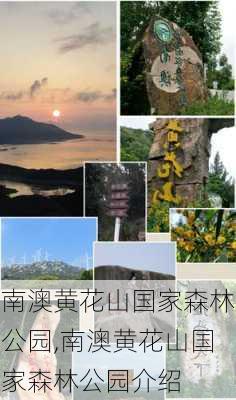 南澳黄花山国家森林公园,南澳黄花山国家森林公园介绍-第3张图片-呼呼旅行网