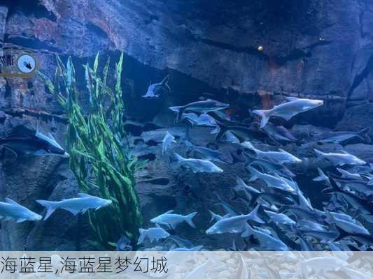 海蓝星,海蓝星梦幻城-第3张图片-呼呼旅行网