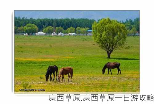 康西草原,康西草原一日游攻略-第3张图片-呼呼旅行网