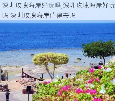 深圳玫瑰海岸好玩吗,深圳玫瑰海岸好玩吗 深圳玫瑰海岸值得去吗-第1张图片-呼呼旅行网