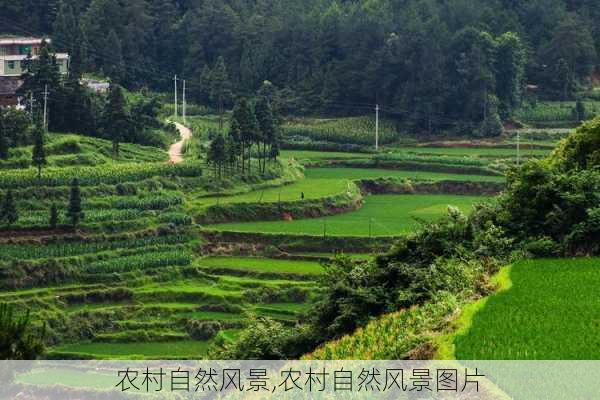 农村自然风景,农村自然风景图片-第3张图片-呼呼旅行网