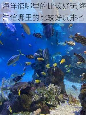 海洋馆哪里的比较好玩,海洋馆哪里的比较好玩排名-第1张图片-呼呼旅行网