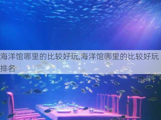 海洋馆哪里的比较好玩,海洋馆哪里的比较好玩排名-第2张图片-呼呼旅行网