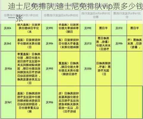 迪士尼免排队,迪士尼免排队vip票多少钱一张-第2张图片-呼呼旅行网