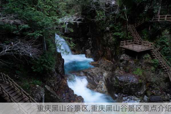 重庆黑山谷景区,重庆黑山谷景区景点介绍-第3张图片-呼呼旅行网