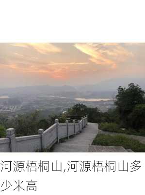 河源梧桐山,河源梧桐山多少米高-第2张图片-呼呼旅行网