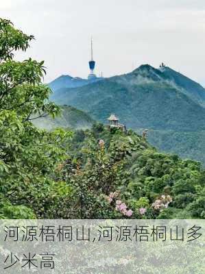 河源梧桐山,河源梧桐山多少米高-第3张图片-呼呼旅行网