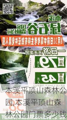 本溪平顶山森林公园,本溪平顶山森林公园门票多少钱-第3张图片-呼呼旅行网