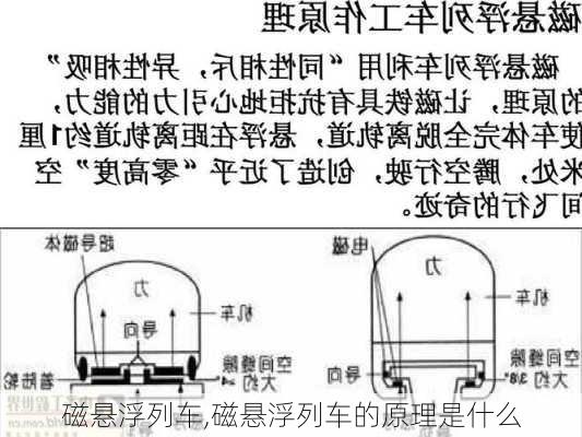 磁悬浮列车,磁悬浮列车的原理是什么-第2张图片-呼呼旅行网