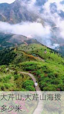 大芹山,大芹山海拔多少米