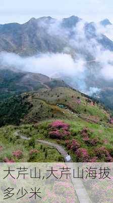 大芹山,大芹山海拔多少米-第2张图片-呼呼旅行网