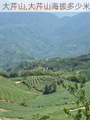 大芹山,大芹山海拔多少米-第3张图片-呼呼旅行网