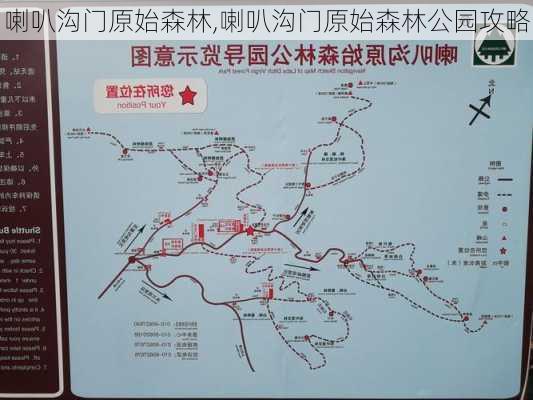 喇叭沟门原始森林,喇叭沟门原始森林公园攻略