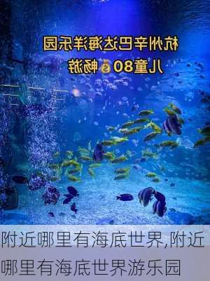 附近哪里有海底世界,附近哪里有海底世界游乐园-第2张图片-呼呼旅行网