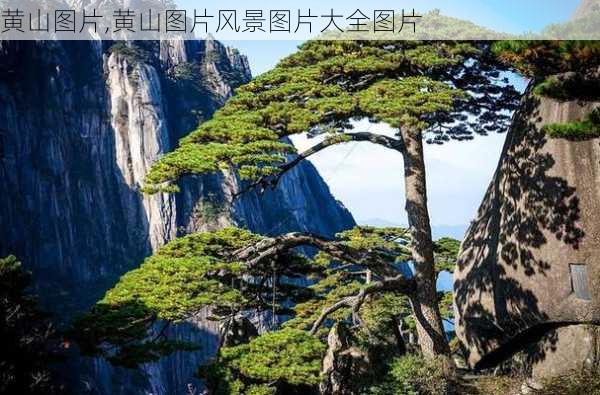 黄山图片,黄山图片风景图片大全图片-第1张图片-呼呼旅行网