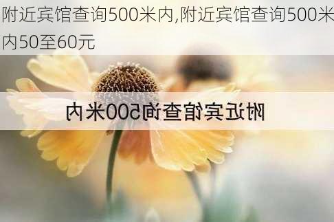 附近宾馆查询500米内,附近宾馆查询500米内50至60元-第1张图片-呼呼旅行网