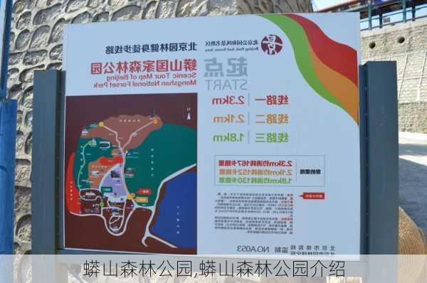 蟒山森林公园,蟒山森林公园介绍-第3张图片-呼呼旅行网