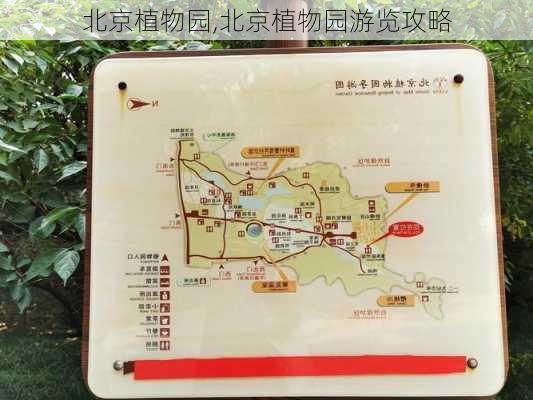 北京植物园,北京植物园游览攻略