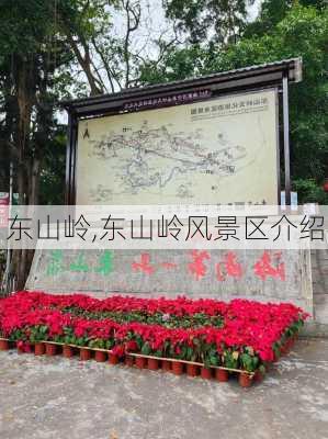 东山岭,东山岭风景区介绍-第1张图片-呼呼旅行网