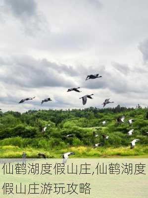 仙鹤湖度假山庄,仙鹤湖度假山庄游玩攻略-第2张图片-呼呼旅行网