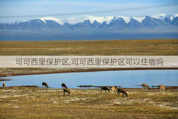 可可西里保护区,可可西里保护区可以住宿吗-第1张图片-呼呼旅行网