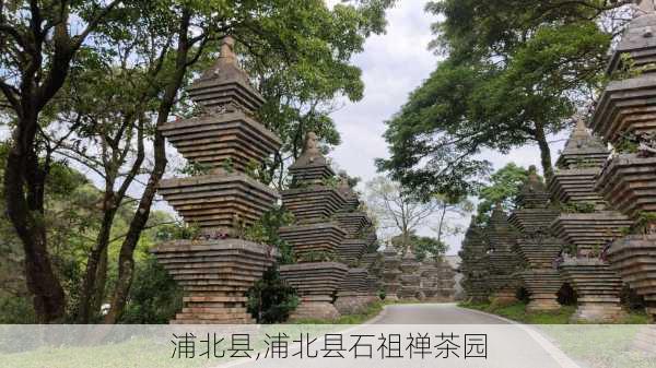 浦北县,浦北县石祖禅茶园-第1张图片-呼呼旅行网