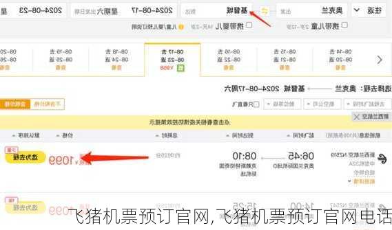 飞猪机票预订官网,飞猪机票预订官网电话-第3张图片-呼呼旅行网