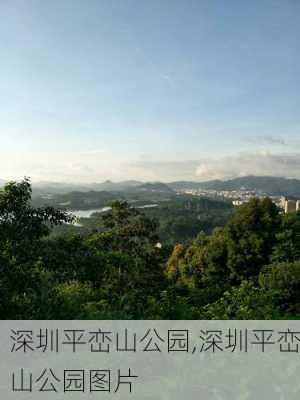 深圳平峦山公园,深圳平峦山公园图片-第2张图片-呼呼旅行网