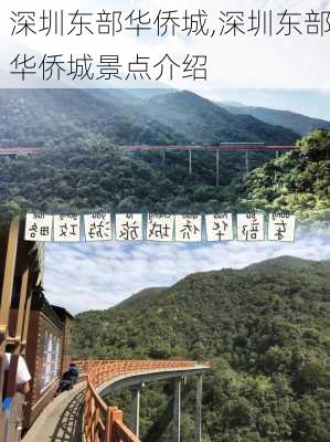 深圳东部华侨城,深圳东部华侨城景点介绍-第3张图片-呼呼旅行网