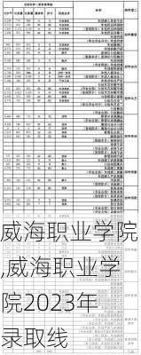 威海职业学院,威海职业学院2023年录取线