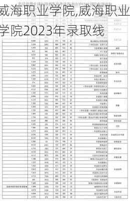 威海职业学院,威海职业学院2023年录取线-第2张图片-呼呼旅行网