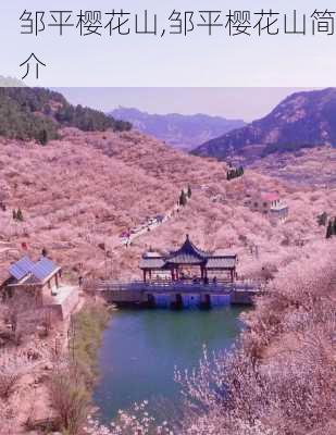 邹平樱花山,邹平樱花山简介-第2张图片-呼呼旅行网