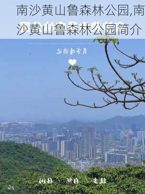 南沙黄山鲁森林公园,南沙黄山鲁森林公园简介-第1张图片-呼呼旅行网