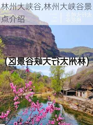 林州大峡谷,林州大峡谷景点介绍-第2张图片-呼呼旅行网