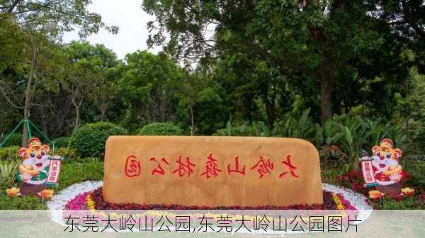 东莞大岭山公园,东莞大岭山公园图片-第2张图片-呼呼旅行网