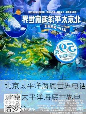 北京太平洋海底世界电话,北京太平洋海底世界电话多少-第1张图片-呼呼旅行网