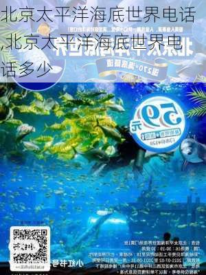 北京太平洋海底世界电话,北京太平洋海底世界电话多少-第2张图片-呼呼旅行网