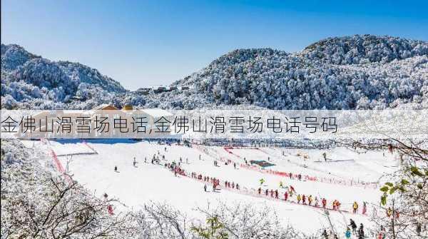 金佛山滑雪场电话,金佛山滑雪场电话号码-第1张图片-呼呼旅行网