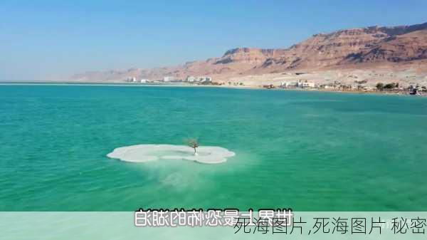 死海图片,死海图片 秘密-第3张图片-呼呼旅行网