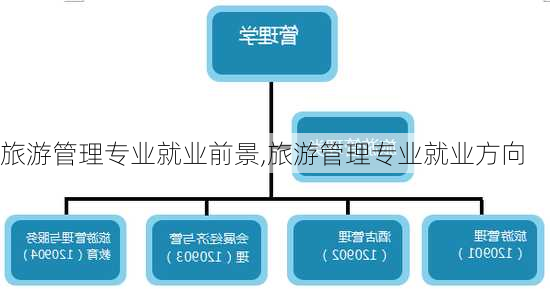 旅游管理专业就业前景,旅游管理专业就业方向-第3张图片-呼呼旅行网