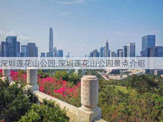 深圳莲花山公园,深圳莲花山公园景点介绍-第2张图片-呼呼旅行网