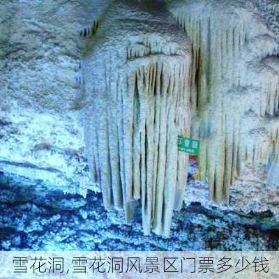 雪花洞,雪花洞风景区门票多少钱-第1张图片-呼呼旅行网