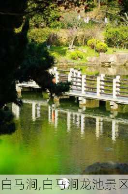 白马涧,白马涧龙池景区-第3张图片-呼呼旅行网