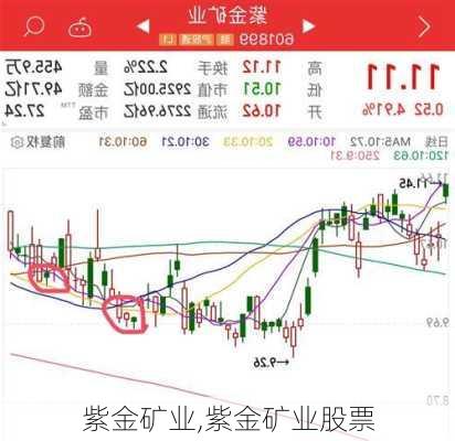 紫金矿业,紫金矿业股票-第3张图片-呼呼旅行网