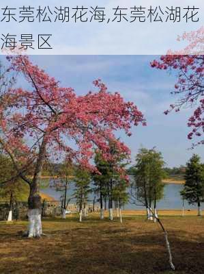 东莞松湖花海,东莞松湖花海景区-第3张图片-呼呼旅行网