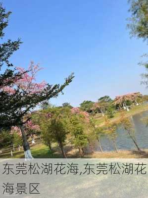 东莞松湖花海,东莞松湖花海景区-第2张图片-呼呼旅行网