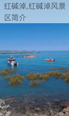 红碱淖,红碱淖风景区简介-第1张图片-呼呼旅行网