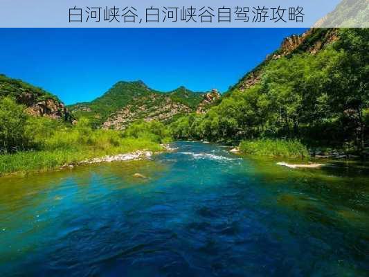 白河峡谷,白河峡谷自驾游攻略-第2张图片-呼呼旅行网